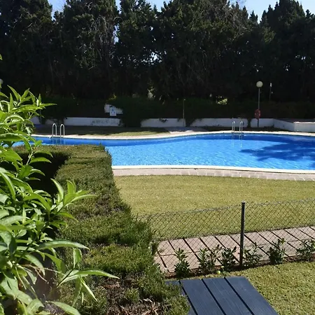 Anacasa Sauces Nova Pb2234